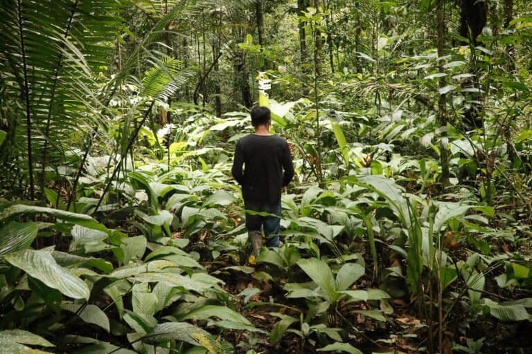 Como proteger a Amazônia: lições de Virgilio Viana