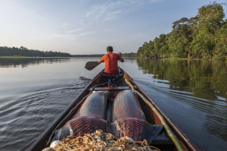 Conservação Comunitária na Amazônia Brasileira: Desafios e Custos