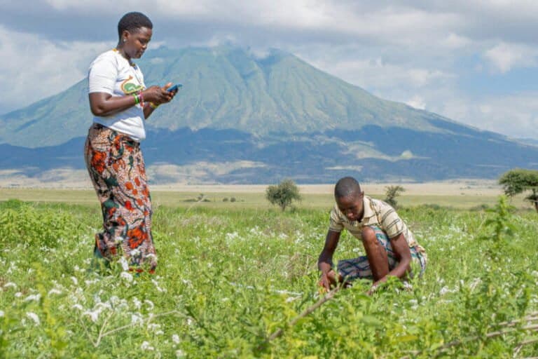 Inovação comunitária na Tanzânia conquista prêmio global em conservação