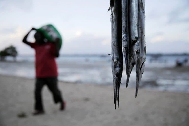 Quênia Intensifica Coleta de Dados para Melhorar Suas Pesca Artesanal
